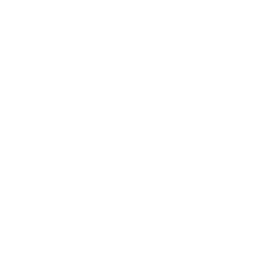 Mesh logo